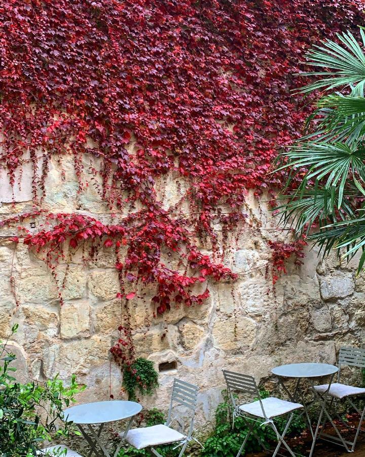 בורדו B&B La Maison Galiene מראה חיצוני תמונה